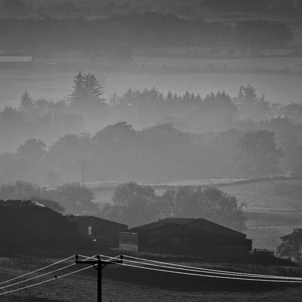 _mg_90121